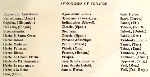 Various Names for Tobacco